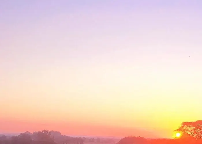 La Box Des Oiseaux Σαλέ